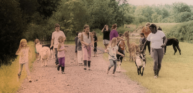 Sliding Descriptive Image