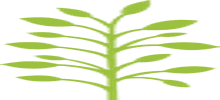 The Canonbury Natural Health Clinic