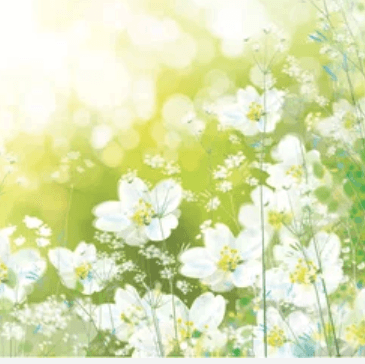 bg Service Image