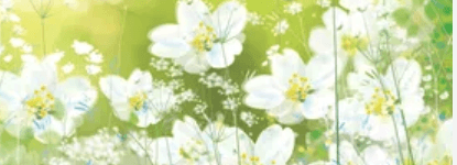 bg Service Image