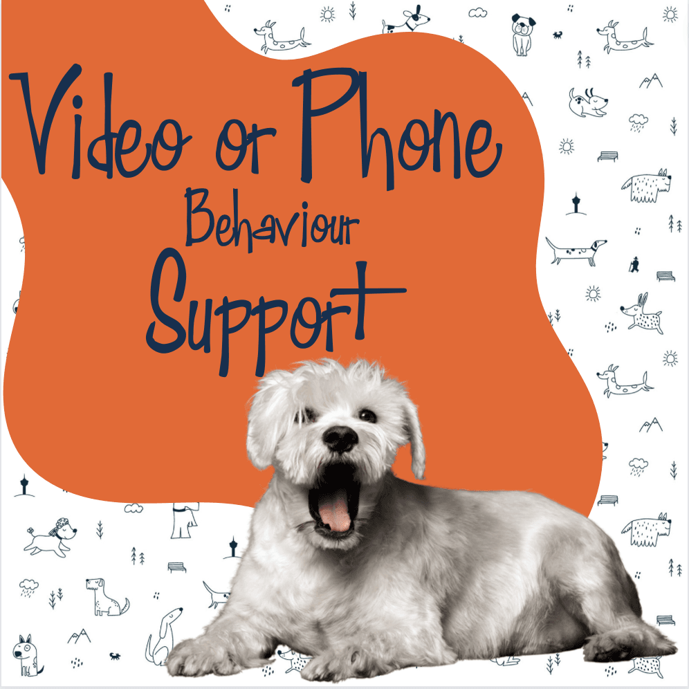 bg Service Image