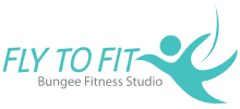 Fly to Fit Bungee Fitness