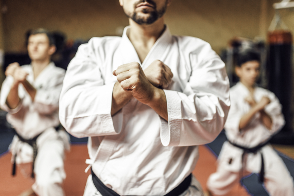 martial arts software, martial arts school