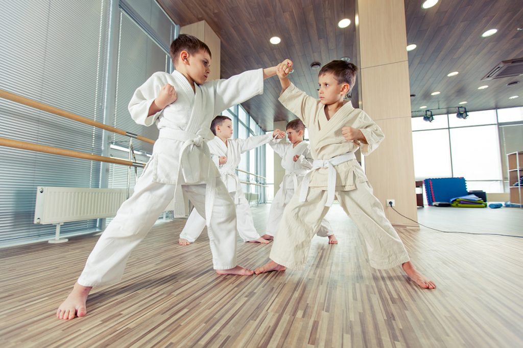 martial arts software, martial arts kids