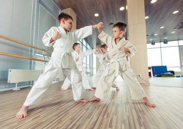 martial arts software, martial arts kids