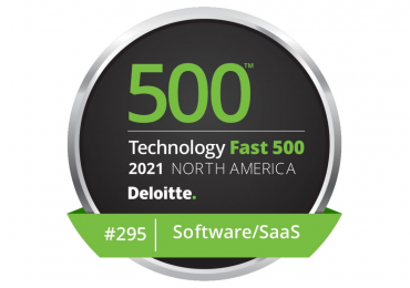 deloitte technology fast 500, 295 ranking