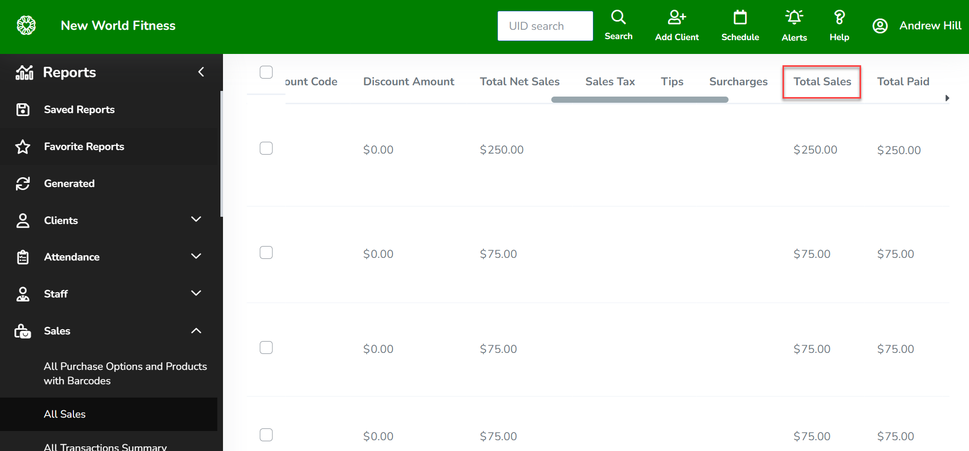 A screenshot of a sales report with the Total Amount column renamed to Total Sales