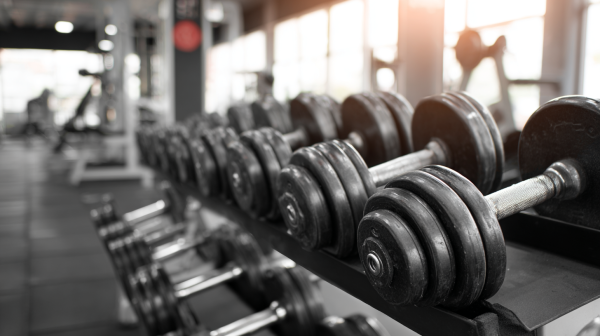 10 Gym Models Explained: A Blueprint for Future Gym Owners