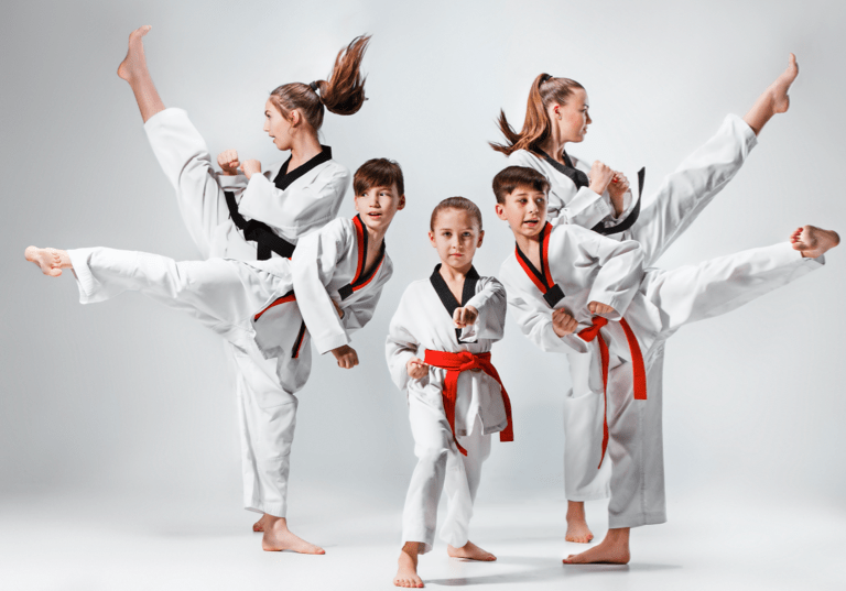 Champion sport karate deals papillion