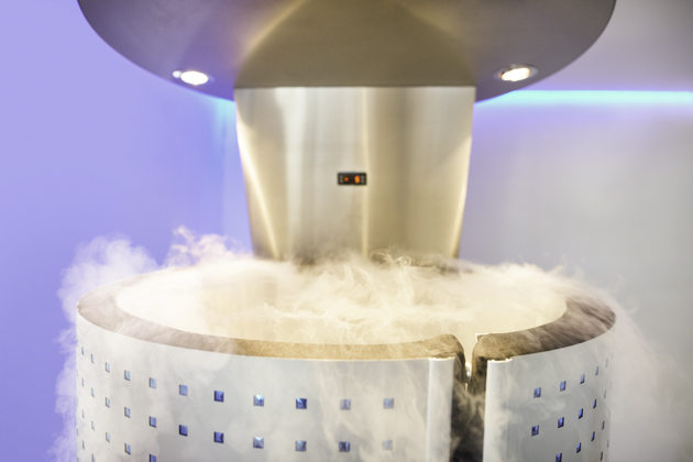 Health and Wellness Trends, Cryo sauna for whole body