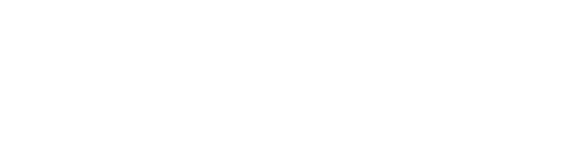Parisi-Speed-School