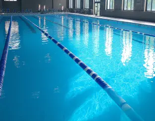 WL2.0-Swim-Trust-Small-1x