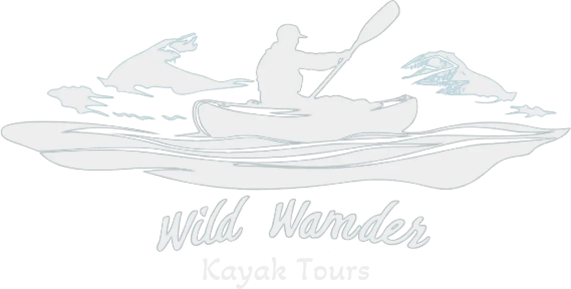 Wild-Wander-Kayak-Tours-logo