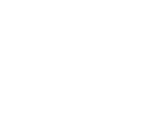 Liv-Logo